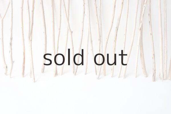 画像6: 棒流木セット (6)