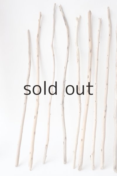 画像2: 棒流木セット (2)