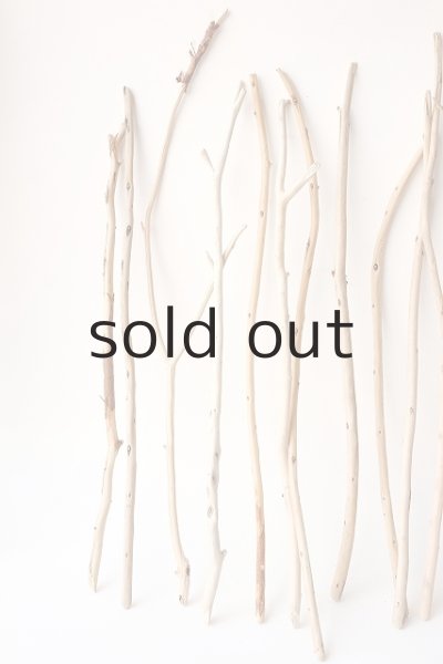 画像2: 棒流木セット (2)