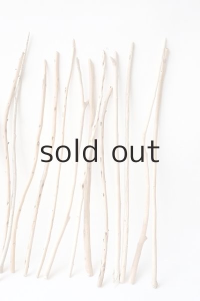 画像5: 棒流木セット (5)