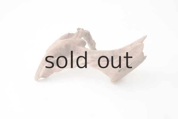 画像7: 変形流木 (7)