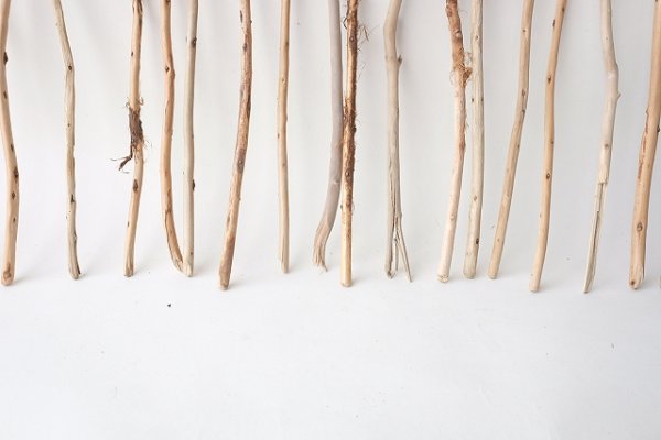 画像5: 棒流木セット (5)