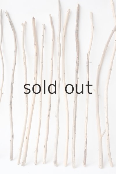 画像3: 棒流木セット (3)