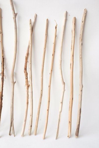 画像4: 棒流木セット (4)