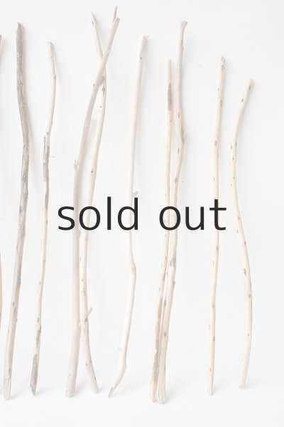 画像4: 棒流木セット (4)