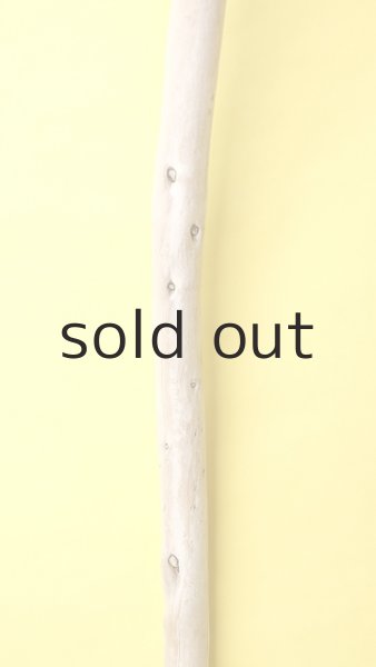 画像3: 棒流木 (3)