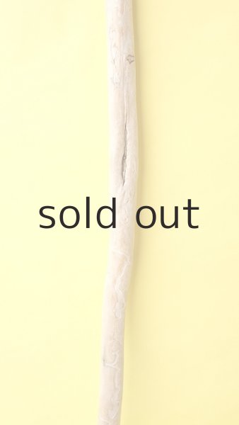 画像3: 棒流木 (3)