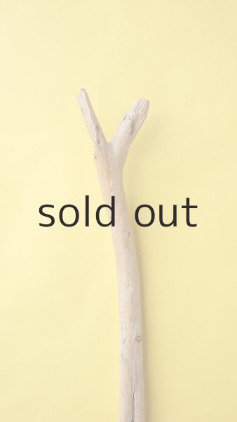 画像4: 棒流木 (4)