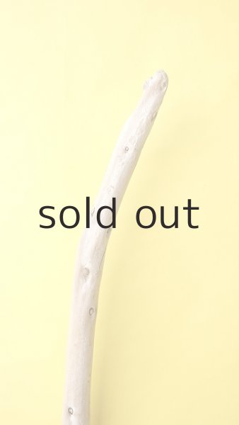 画像4: 棒流木 (4)