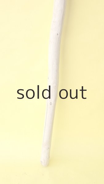 画像2: 棒流木 (2)