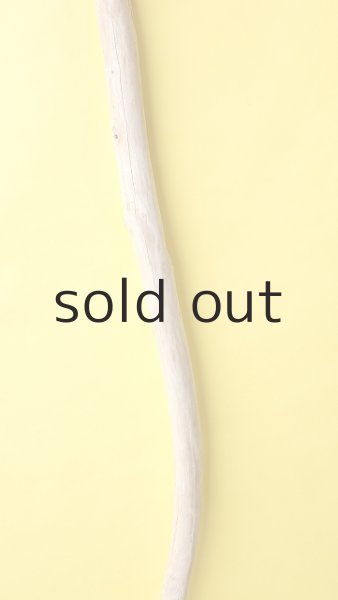 画像3: 棒流木 (3)