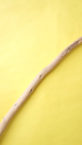 画像4: 棒流木 (4)