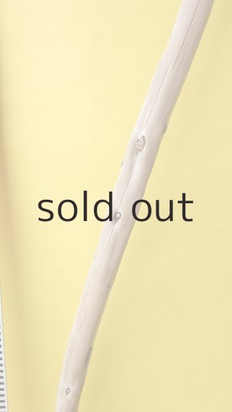 画像6: 棒流木 (6)