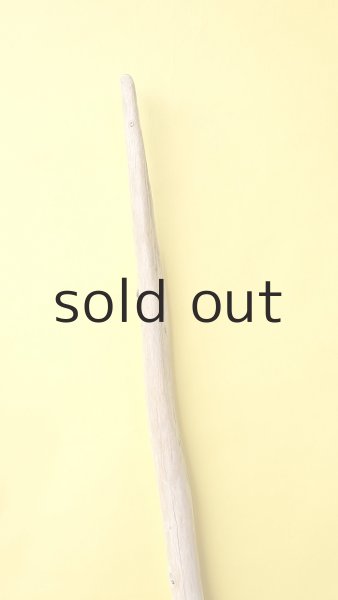 画像4: 棒流木 (4)