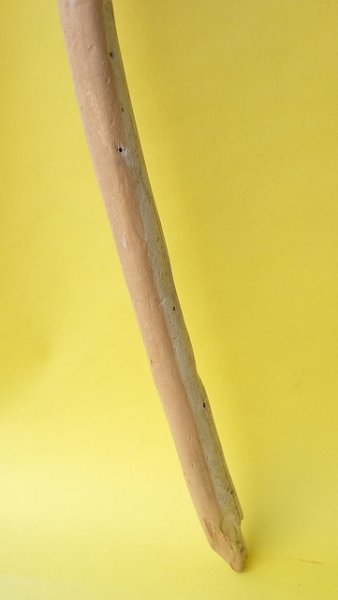 画像2: 棒流木 (2)