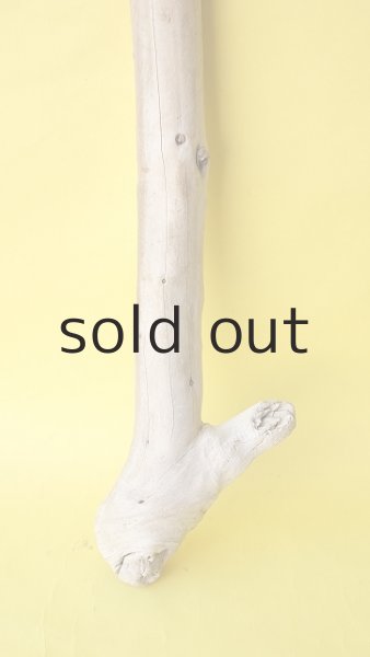 画像2: 棒流木 (2)