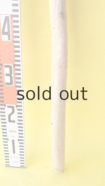 画像5: 棒流木 (5)