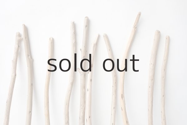 画像3: 棒流木セット (3)