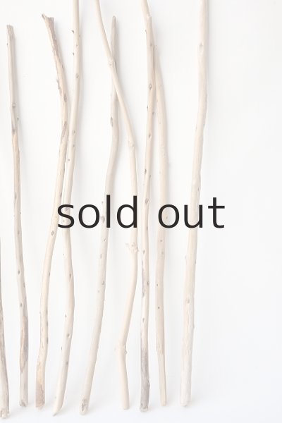 画像6: 棒流木セット (6)