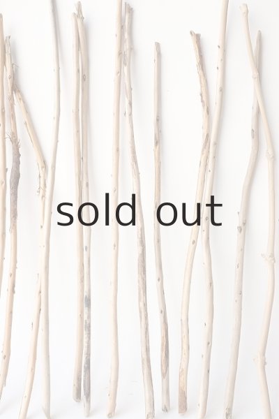 画像5: 棒流木セット (5)