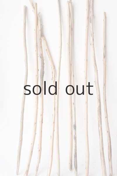 画像4: 棒流木セット (4)