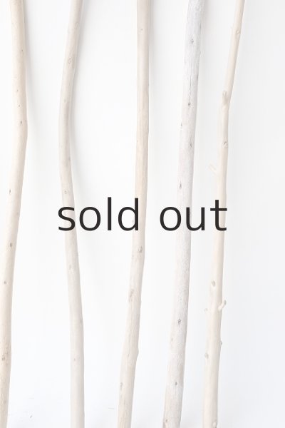 画像6: 棒流木セット (6)