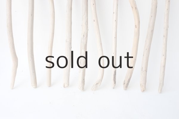 画像2: 棒流木セット (2)