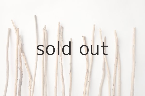 画像3: 棒流木セット (3)