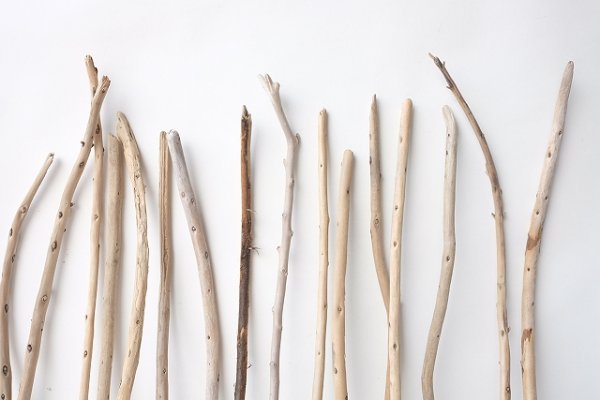 画像3: 棒流木セット (3)