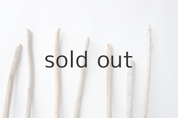 画像4: 棒流木セット (4)