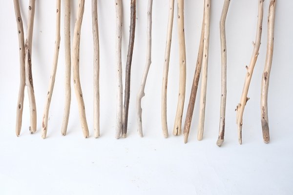 画像2: 棒流木セット (2)