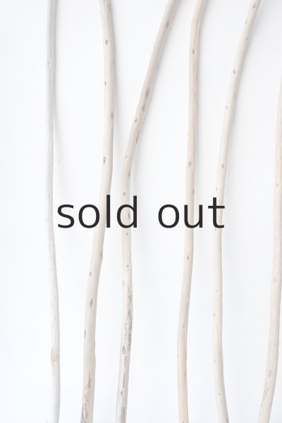 画像5: 棒流木セット (5)