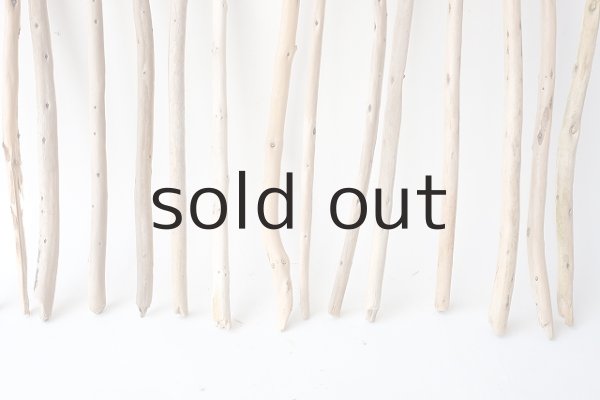 画像2: 棒流木セット (2)