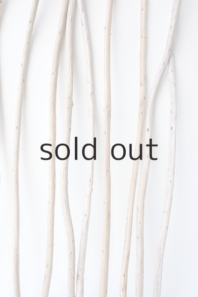 画像6: 棒流木セット (6)