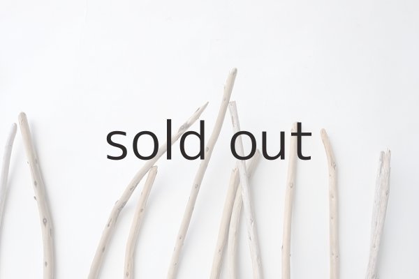 画像4: 棒流木セット (4)