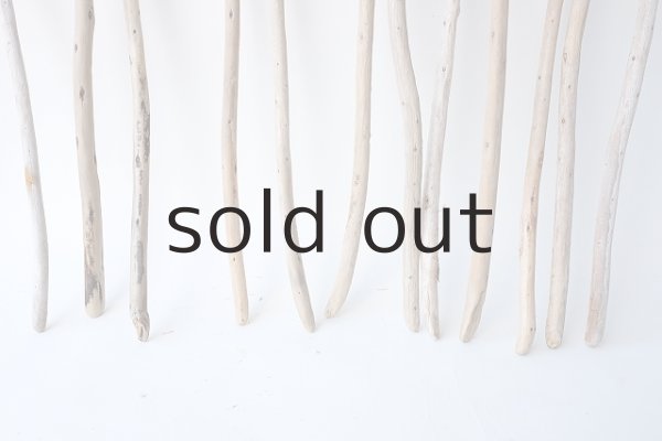 画像2: 棒流木セット (2)