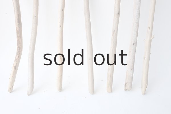 画像2: 棒流木セット (2)