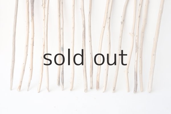 画像2: 棒流木セット (2)