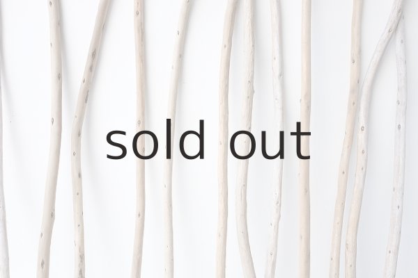 画像3: 棒流木セット (3)