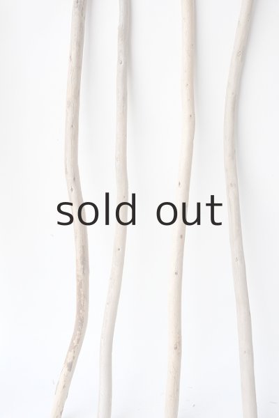 画像5: 棒流木セット (5)