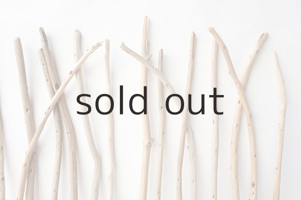 画像3: 棒流木セット (3)