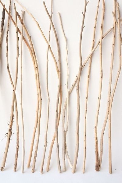 画像3: 棒流木・極細セット (3)