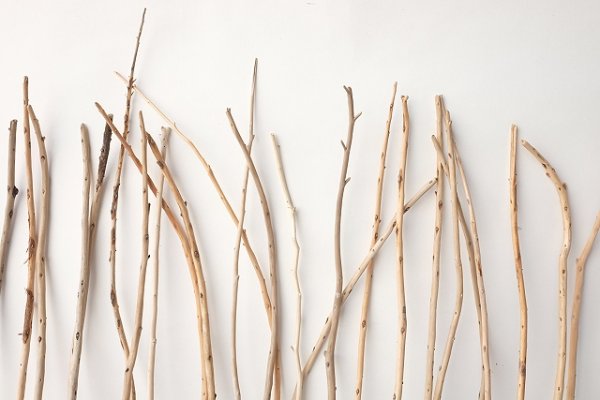 画像6: 棒流木・極細セット (6)