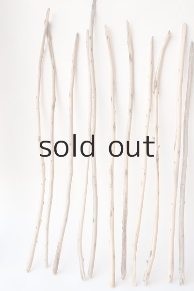 画像2: 棒流木・極細セット (2)