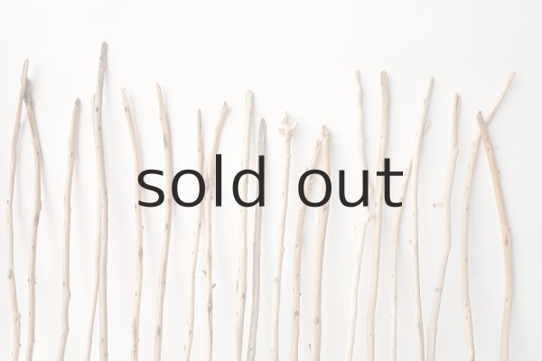 画像6: 棒流木・極細セット (6)