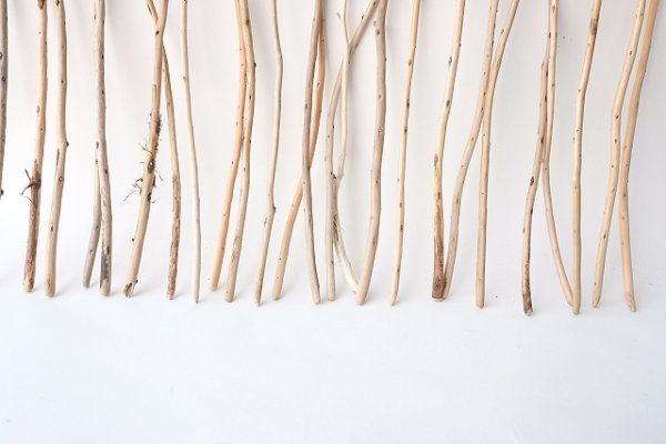 画像5: 棒流木・極細セット (5)