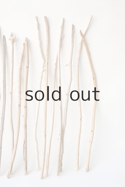 画像4: 棒流木・極細セット (4)