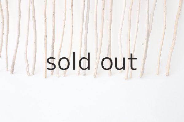 画像5: 棒流木・極細セット (5)