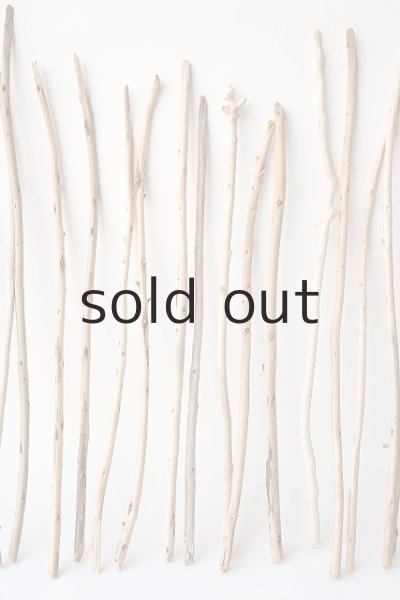 画像3: 棒流木・極細セット (3)