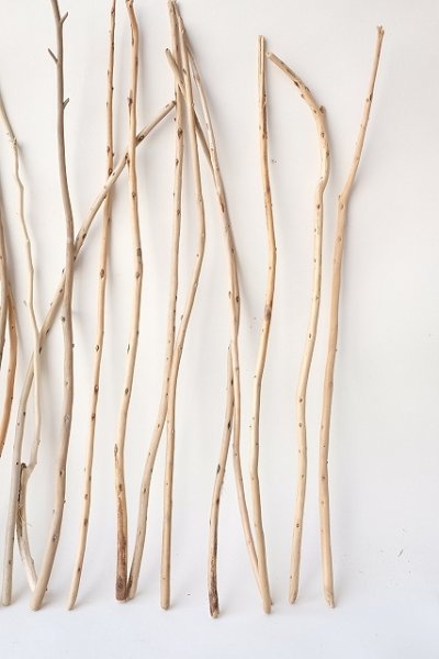 画像4: 棒流木・極細セット (4)